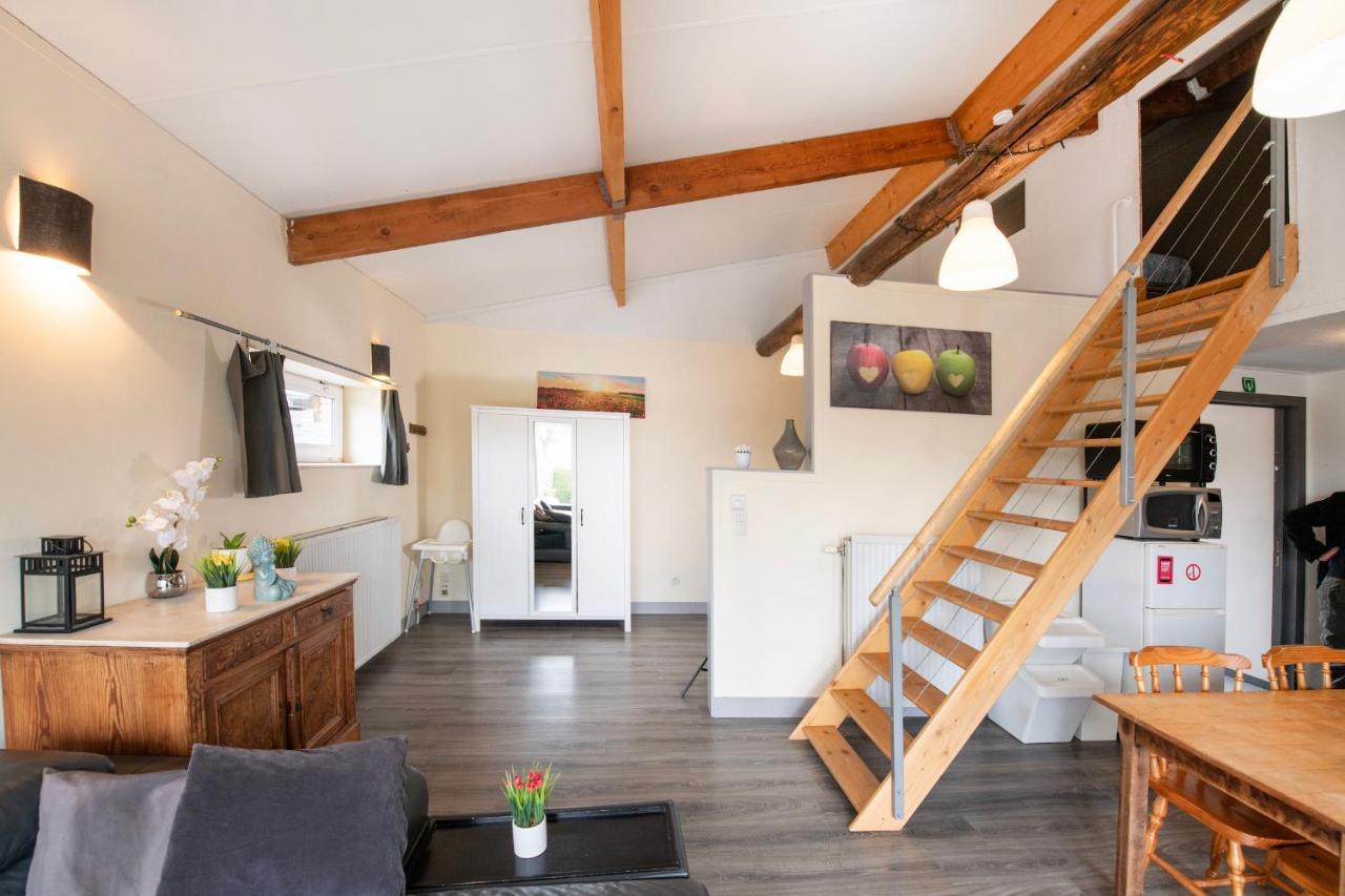 De Smishoeve Met Kinderpret, Dieren En Wellness Heers Exterior foto