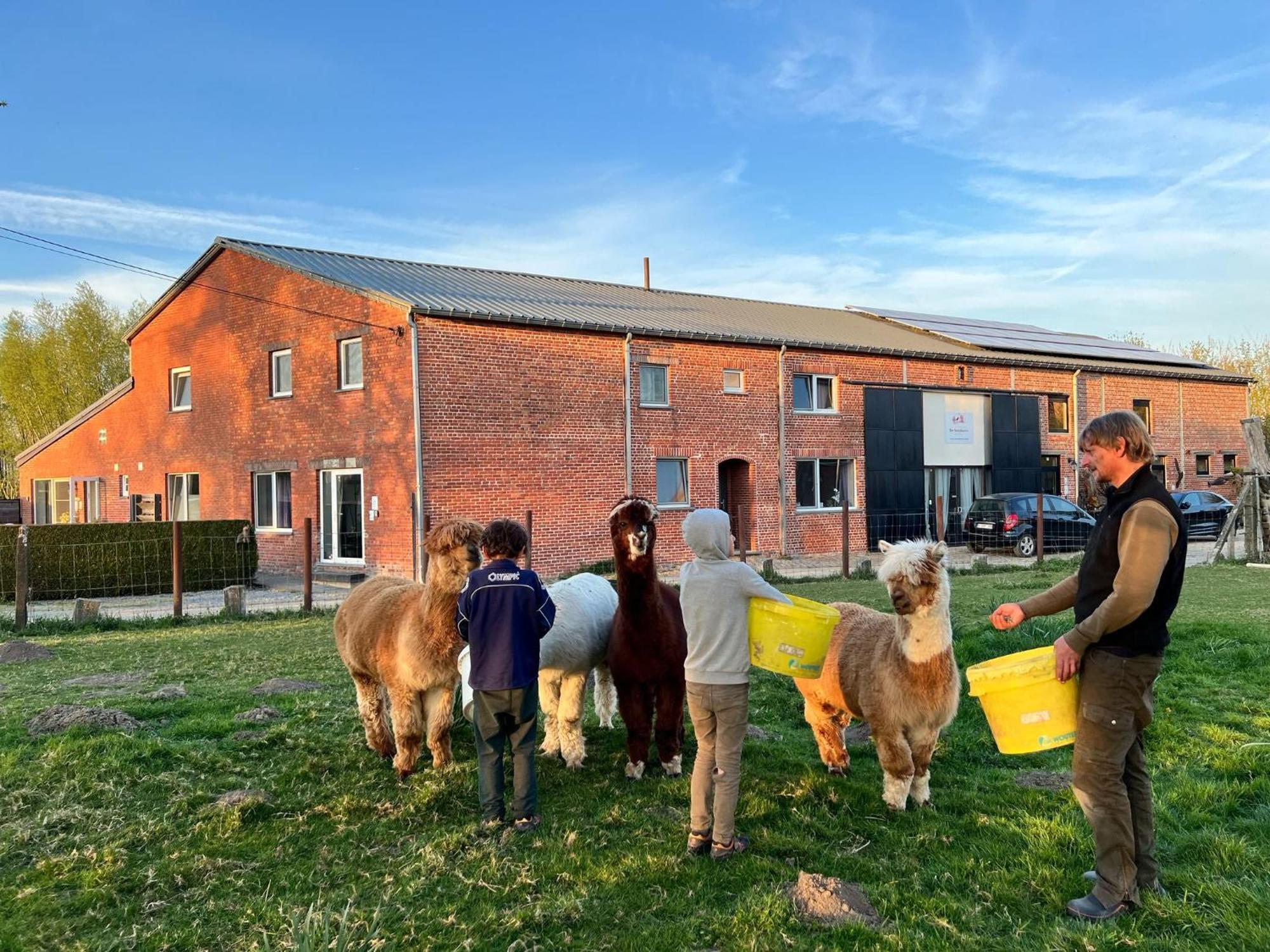De Smishoeve Met Kinderpret, Dieren En Wellness Heers Exterior foto